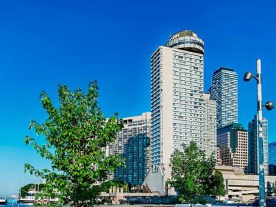 The Westin Harbour Castle, 4*